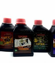 Combo Linea Completa 250ml + Big One Top Crop Valhalla Grow