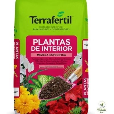 Ver articulo